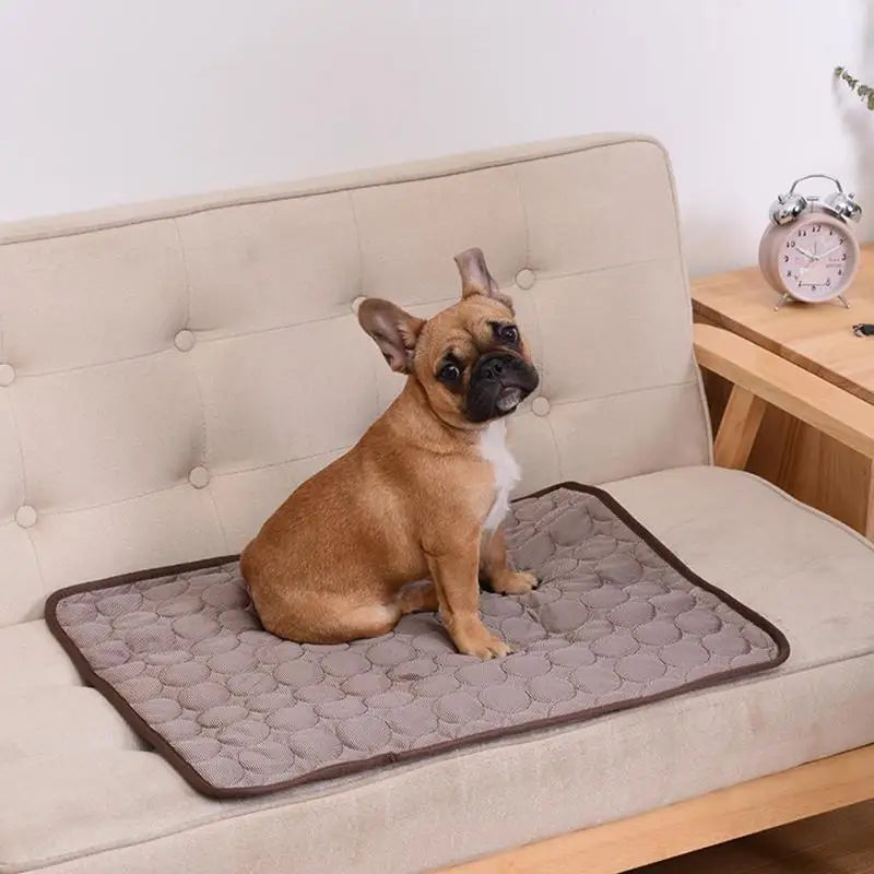 Coolo Mat™ - Pet Cooling Mat